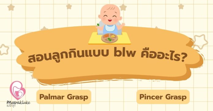 สอนลูกกินแบบ blw